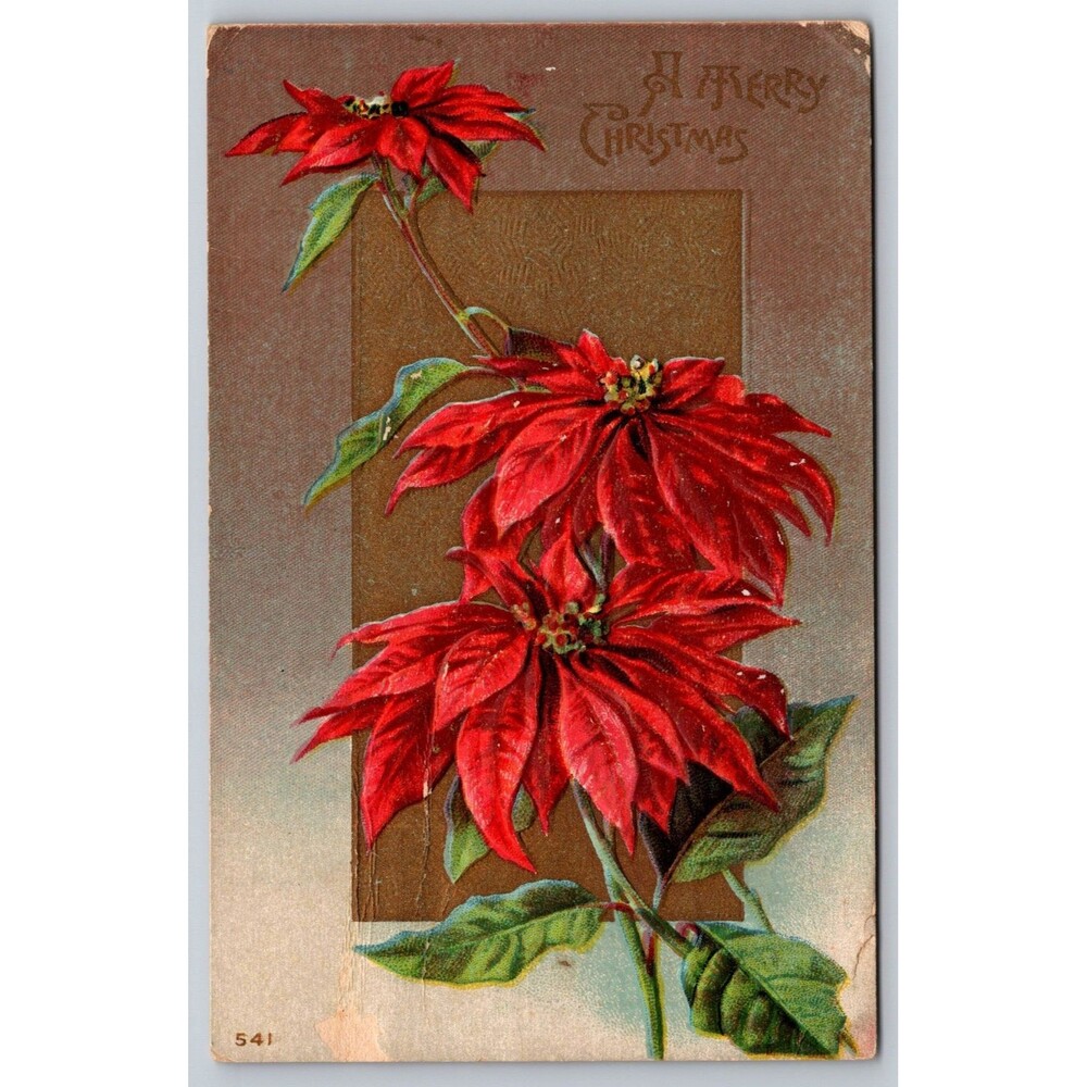 Antique Postcard Merry Christmas Poinsettias Embossed Posted MD